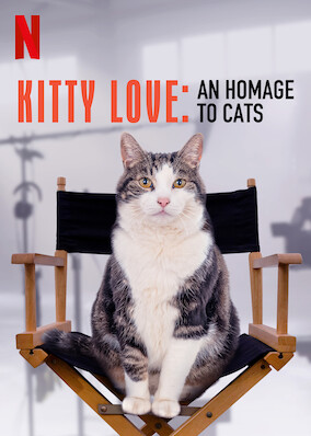 Kitty Love: An Homage to Cats